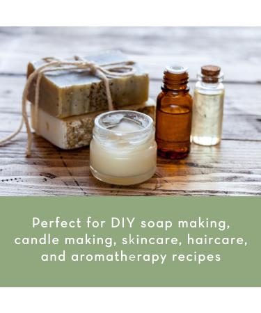 Bulk Jojoba Oil - 32 Fl Oz Large Size Wholesale Bottle - Organic Golden Virgin 100% Pure Cold Pressed from the Seeds of the Jojoba Plant - Unrefined Aceite de Jojoba 32 Fl Oz (Pack of 1) - Buy Online on GoSupps.com