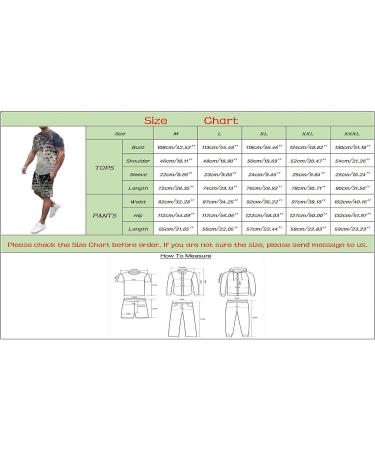 BEUU Mens 2PCS Sports Set | 2022 Summer Outfits | 3D Lion Print T-Shirt & Casual Shorts | Athletic Tracksuit in Blue, Black, White, Green | Chambray Shirt | Zipper Classic Design - Buy Online on GoSupps.com