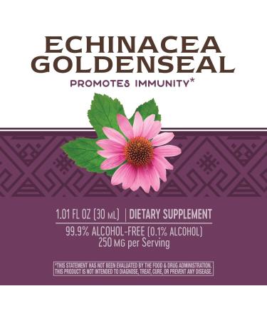 Nature's Way Echinacea Goldenseal - Alcohol Free Herbal Extract 1.01 fl oz (30 ml) - Buy Online on GoSupps.com
