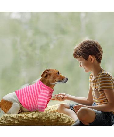 12-Piece Striped Dog T-Shirt Set for Small Dogs - Soft & Breathable Apparel for Pets (Large) - Buy Online on GoSupps.com