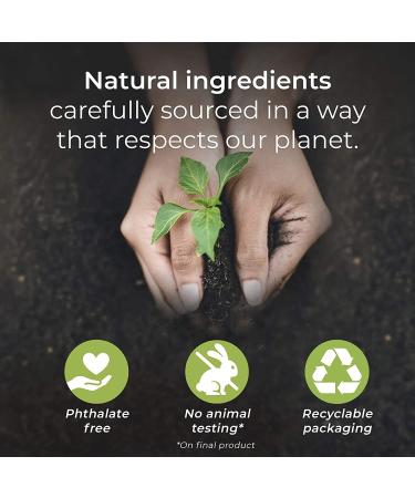 Airwick Botanica Scented Oil Eucalyptus & Mediterranean Sage Natural Ingredients Twin Refill 40 milliliter Ecualyptus Sage 40 ml (Pack of 1) - Buy Online on GoSupps.com