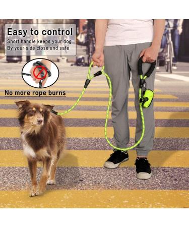 DDSCOLOUR Heavy Duty Dog Leash 5-6ft Long with Double Traffic Handle Reflective Perfect for Medium Large Dog Leash Strong Double Handle Lead Greater Control Safety Training (Green) 6ft Green - Buy Online on GoSupps.com