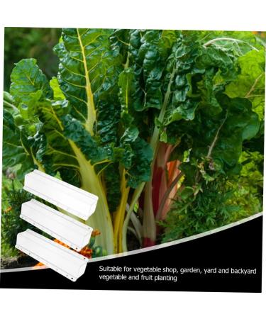 SUPVOX 3pcs Cucumber Cucumbers Fruit Vegetable Forming Shaping Picking Garden Square - Buy Online on GoSupps.com