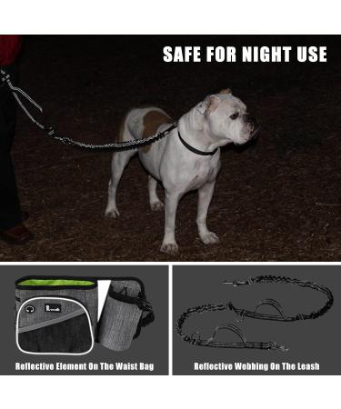 Premium Jogging Leash for Dogs - Elastic Buffer & Reflective Design for Hands-Free Running | Ideal for Medium & Large Breeds | Up to 110kg Capacity - Buy Online on GoSupps.com