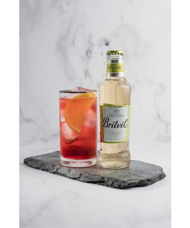 Britvic Britvic Ginger Ale 24 x 200 ml - Buy Online on GoSupps.com
