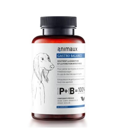 Probiotics for dogs to be given regularly - 40 chewable tablets - promotes natural digestion - Food supplement with flax seeds, sage & psyllium - animals Gastro Balance for Dogs