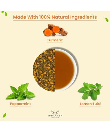 Teanourish Turmeric Mint Tulsi Herbal Tea - 100g - Immune Support 100% Natural Indian Superfoods Turmeric Tulsi & Peppermint Blend - Buy Online on GoSupps.com