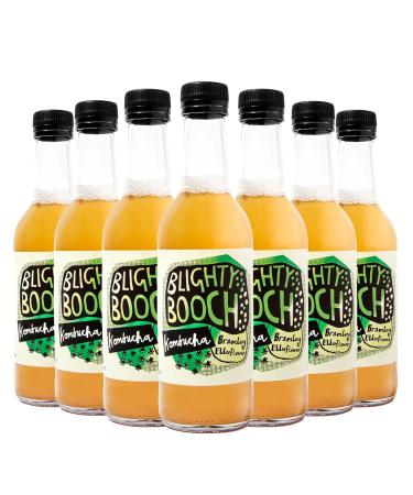Blighty Booch Kombucha Bottled Tea Drink - 12 x Bramley Elderflower Flavour - Naturally Sparkling Fermented Unpasteurised Live Culture - Vegan Organic Gluten Free Apple - Buy Online on GoSupps.com