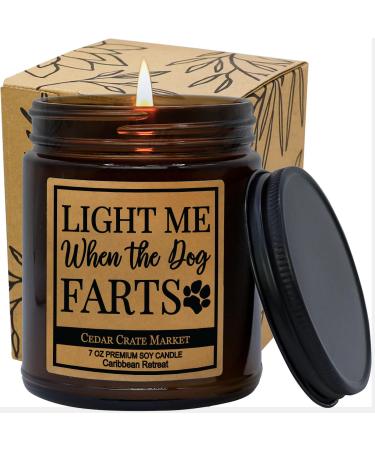 Gifts for Dog Lovers | Dog Dad Gifts | Funny Dog Candle Gifts for Men Women | Light Me When The Dog Farts Candle | Orange Patchouli Scented | Cedar Crate Market | Pet Sitter Gift | Made in The USA