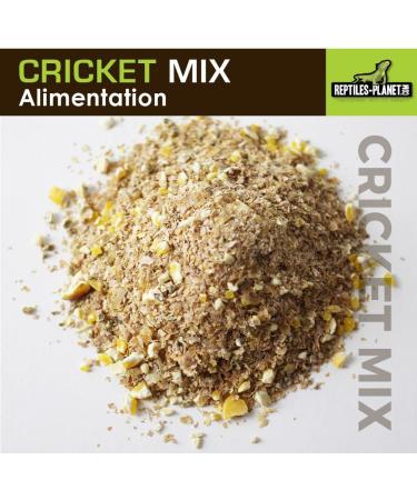 Reptiles Planet - Cricket Mix - Insect Food - 500ml - Buy Online on GoSupps.com