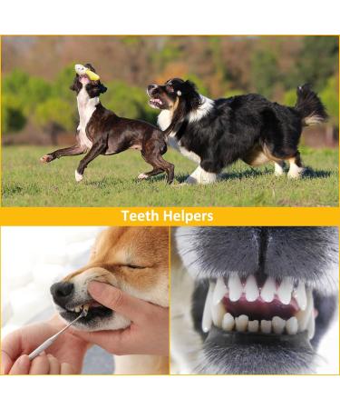Kapetgo 6 Pack Luxury Dog Squeaky Toys for Puppy Cute Small Plush Dog Toys for Small Medium Dogs - Buy Online on GoSupps.com