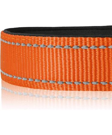 Heele Dog Collar - Soft Padded Neoprene Nylon Adjustable Reflective Collar for Small & Medium Dogs - Training Orange L (40-66 cm) - 1 Pack - Buy Online on GoSupps.com
