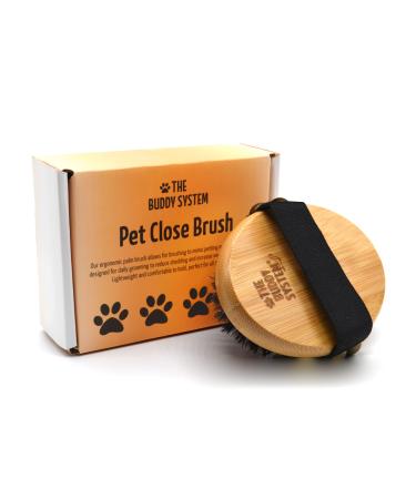 The Buddy System Pet Close Brush, Soft Touch Oval Palm Brush - Bamboo Massage Handheld with Soft Boar Bristles and Elastic Band for Dogs and Cats 1-pack
