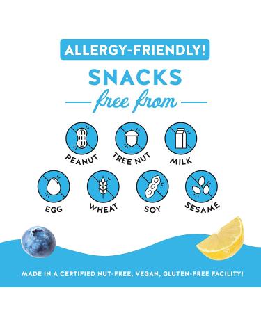Blake's Seed Based Blueberry Lemon Snack Bars (12 Bars) - Nut Free, Gluten Free, Dairy Free & Vegan - Healthy Snack for Kids & Adults - Organic Fruit Bar - Great Breakfast Option - 12 Count - Buy Online on GoSupps.com