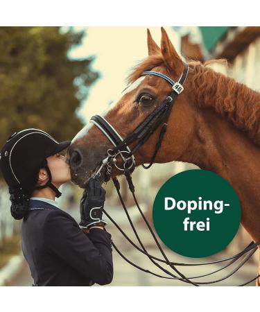 Equisept Fly Spray for Horses - 3L Insect Spray Canister | Mosquito & Horse Skin Care - Veterinarian Recommended Doping-Free - Buy Online on GoSupps.com