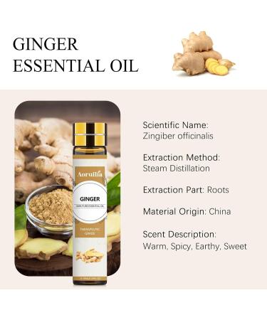 Aoruilia 10ml Ginger Essential Oil 100% Pure Natural Ginger Oils for Hair Growth Aromatherapy Diffuser Massage Spa Bath Yoga Ginger 10 ml (Pack of 1) - Buy Online on GoSupps.com