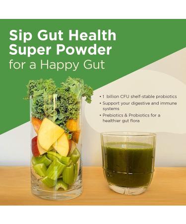 Four Sigmatic Gut Health Super Powder - Organic Green Superfood with Probiotics & Prebiotics | Apple Celery Super Greens Blend | 4.94 oz Drink Mix - Buy Online on GoSupps.com