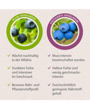 Organic Wild Blueberry Powder 200g - Raw Food Quality Antioxidant-Rich Fruit Powder (Vaccinium myrtillus) - International Shipping Available - Buy Online on GoSupps.com
