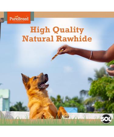50pk Twist Rawhide Sticks Chicken Dog Treats | Chicken Wrapped Dog Chews Toy | Low Fat High In Protein Chicken Twists for Dogs | Chicken Rawhide Dog Chew | Chewy Twists with Chicken with SOL Sticker Chicken 5 Count (Pack of 10) - Buy Online on GoSupps.com