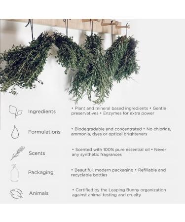 Common Good Plant-Based Hand Soap with Pure Essential Oils - Biodegradable Formula, No Parabens or Sulfates - 12 Fl Oz - White - Buy Online on GoSupps.com