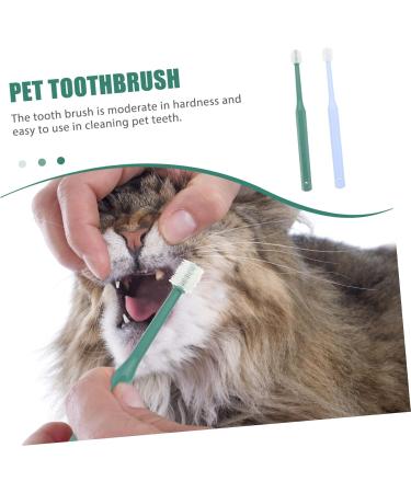 Beavorty 4 pcs for Teeth Cat Small Handheld Brush -degree Tooth Pet Puppy Cleaning Pets Clean Portable Dog 1 count (Pack of 1) Assorted Colorx2pcs - Buy Online on GoSupps.com