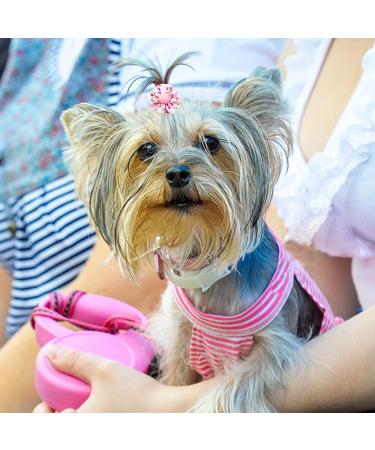30PCS Pink Dog Hair Bows with Rubber Bands - Cute Hair Bowknots for Female Dogs - Grooming Accessories - Buy Online on GoSupps.com