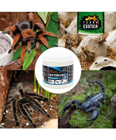Terra Exotica Water Gel 250ml & 1000ml - Secure Water Supply for Insects Spiders & Scorpions | International Shipping Available - Buy Online on GoSupps.com