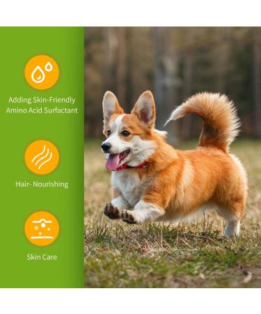 Nobleza Puppy Shampoo - Mild Almond & Honey - Itch Relief for Short-Haired Dogs (250ml) | Ideal for French Bulldogs & Pugs - Buy Online on GoSupps.com