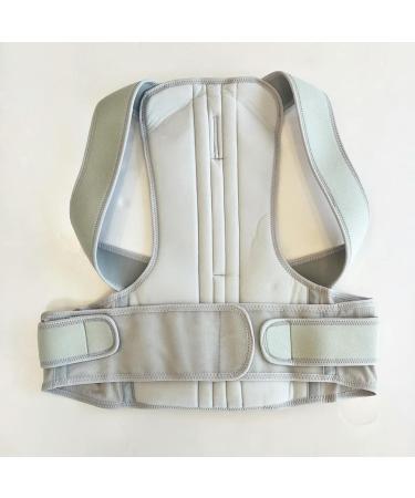 Back Support Belt Men Women Adjustable Posture Corrector Lumbar Back Support Brace Silver XL - Buy Online on GoSupps.com