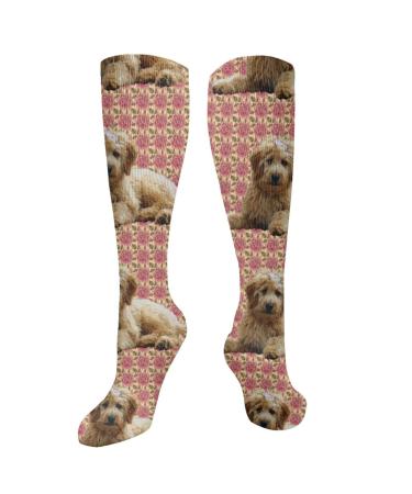 Goldendoodle and Roses compression socks for women and men circulation 15 20 mmHg is the best support for sporty running and cycling