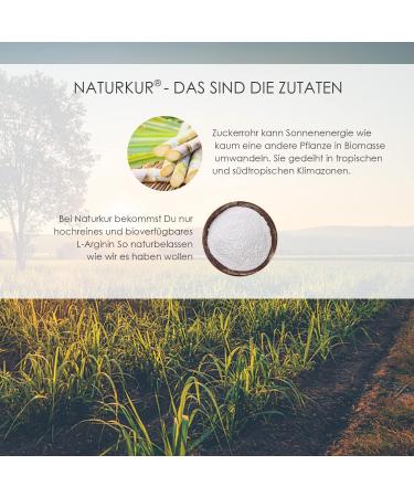 Naturkur L-Arginine Base 670 mg - 300 Vegan Capsules | Pure & Laboratory Tested | Additive-Free Handcrafted in Lower Franconia - International Shipping Available - Buy Online on GoSupps.com