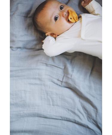 Buy Filibabba Silicone Baby Pacifier Set | 2 Pieces in Chic Matt Colors | Danish Design | Includes Pacifier Box | 0-6 Months - Buy Online on GoSupps.com