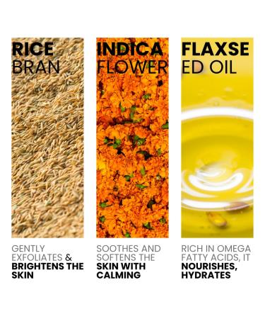 BERLET M.D. RENEW: Rice Powder Cleanser Gentle Powder-to-Foam Exfoliating Face Wash with Rice Bran Indica Flower & Flaxseed Oil Water-Activated For All Skin Types 12g - Buy Online on GoSupps.com