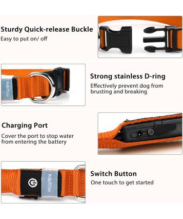 Buy Luminous LED Dog Collar - Adjustable Waterproof 7 Color Changing Light for Night Safety - Fits Small Medium & Large Dogs (38-50cm) - 2022 Orange - Buy Online on GoSupps.com
