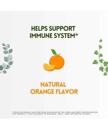 HERBION Naturals Zinc Echinacea & Vitamin C Lozenges 25 CT Dietary Supplement for Adults & Children 5+ Promotes Wellness for The Whole Family 125 Count Orange Pack of 5 Orange 125 Count (Pack of 5) - Buy Online on GoSupps.com