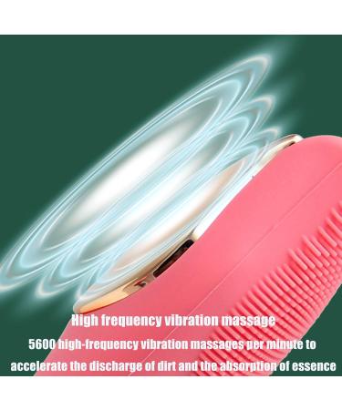 Heated Silicone Facial Cleansing Device Pore Cleaner Constant Temperature Importing Device Facial Washing Device Beauty Cleaning Brush Red (Blue) - Buy Online on GoSupps.com