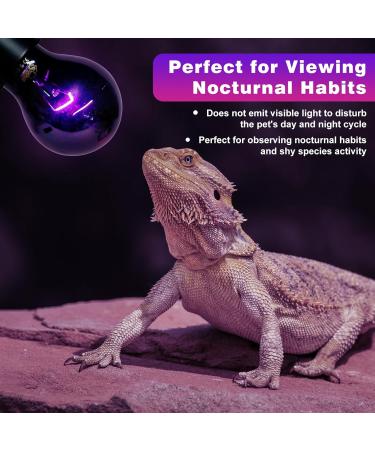 LUCKY HERP Reptile Night Heat Bulb 50W Night Heat Lamp Bulbs for Reptiles 2 Pack Reptiles & Amphibians Basking Spot Light Bulb for Bearded Dragon Lizard Snake Turtle Chameleon - Buy Online on GoSupps.com