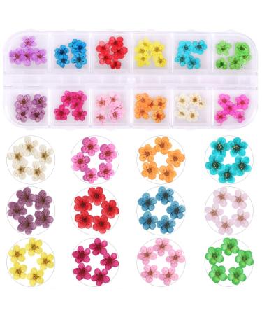 1 Box Dried Flowers for Nail Art  KISSBUTY 12 Colors Dry Flowers Mini Real Natural Flowers Nail Art Supplies 3D Applique Nail Decoration Sticker for Tips Manicure Decor (Daffodils Flowers)