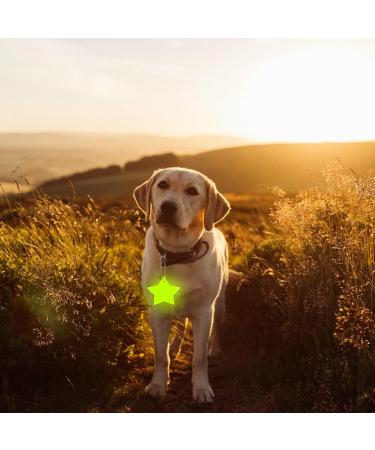 Lemonstone 12-Piece Reflector Set | Safety Pendants for Children Backpacks & Trailers | Reflective Keychains & School Bag Accessories - Buy Online on GoSupps.com