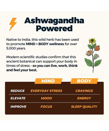 Atlas Mind + Body Keto Protein Bar - Chocolate Lovers Variety - Low Carb, High Fiber, Organic Ashwagandha - 10 Count Pack - Buy Online on GoSupps.com