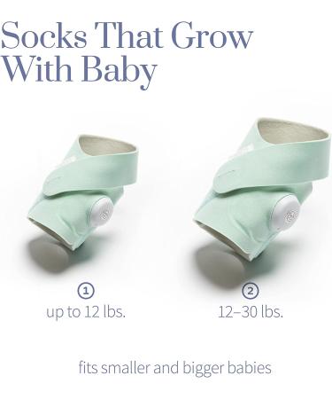 Owlet Dream Duo: Dream Sock Baby Monitor and HD Camera Mint - Buy Online on GoSupps.com