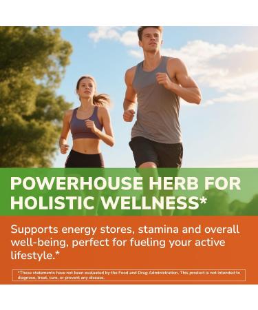 Vitalibre 12 in 1 Magnesium Complex 500mg and Maca Root Capsules Bundle Chelated Magnesium and 1 500mg Maca Root Vegan Non-GMO 120 Capsules Each - Buy Online on GoSupps.com