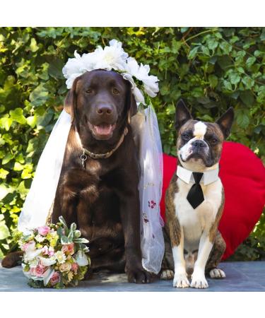 Adjustable Dog Fly Collar & Formal Smoking Neck Band with Black Tie for Large Medium & Small Dogs & Cats - International Shipping - Buy Online on GoSupps.com