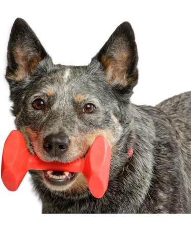 Company of Animals Training Dumbbell for Dogs - Durable Classic Toy for Hunting Swimming & Long Fetch - Perfect for Small Dogs & Puppies (Size S) - Buy Online on GoSupps.com