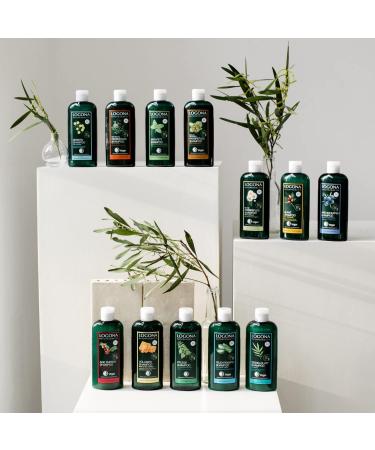 LOGONA Naturkosmetik Anti-Fett Shampoo Bio-Zitronenmelisse Schenkt Leichtigkeit & Frische Harmonisiert die Balance auf der Kopfhaut Mit Bio-Pflanzenzenzenten 250ml - Buy Online on GoSupps.com
