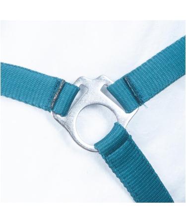 Buy RL24 Nylon Halter BASICLINE in Petrol for Warmbloods - Durable & Stylish | International Shipping Available - Buy Online on GoSupps.com