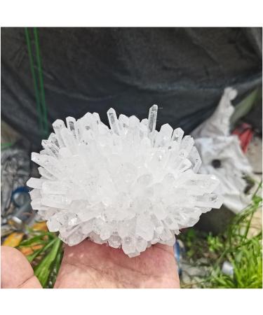 Natural Crystal Rough Natural Crystals Clear Quartz Cluster Freeform Reiki Stones Room Home Office Aquarium Decoration Accessories Gemstone Decoration (Size : 400-500g) - Buy Online on GoSupps.com