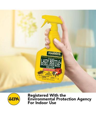 Harris 32oz Asian Lady Beetle & Box Elder Killer Liquid Spray - Odorless, Non-Staining Extended Residual Formula - Buy Online on GoSupps.com