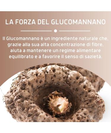 ERBEX - Compl ment alimentaire base de glucomannane 100 g lules formule v g tale - Buy Online on GoSupps.com