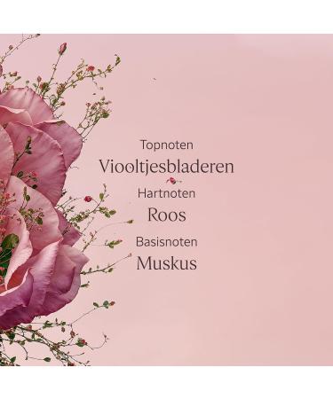 L'OCCITANE LOCCITANE Lip Balm Rose 12 ml Made in France - Buy Online on GoSupps.com